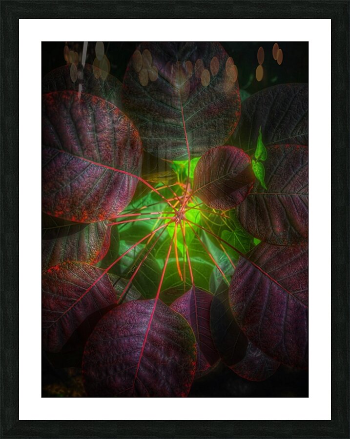 V444 Picture Frame print