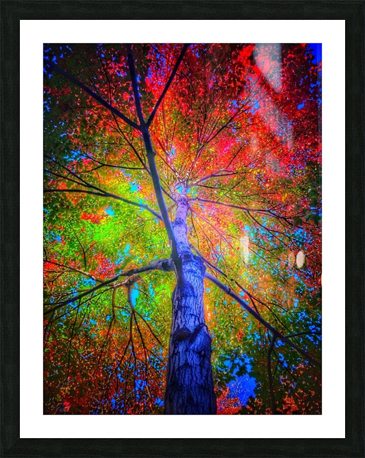 V446 Picture Frame print