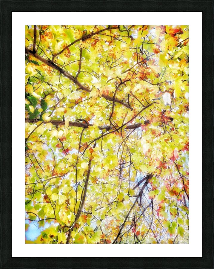 V447 Picture Frame print