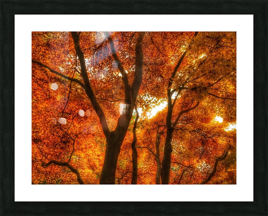V459 Picture Frame print