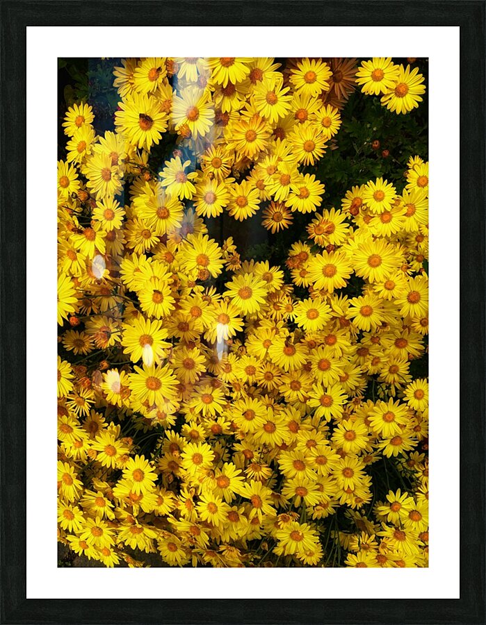 V460 Picture Frame print