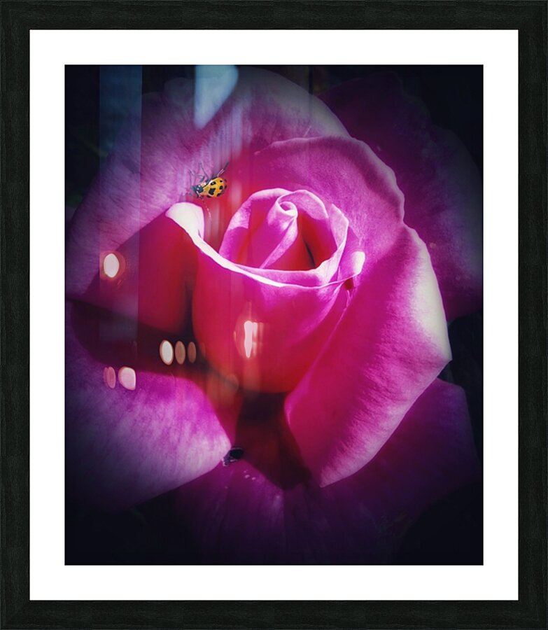 V462 Picture Frame print