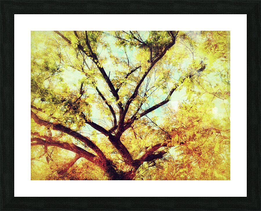 V463 Picture Frame print