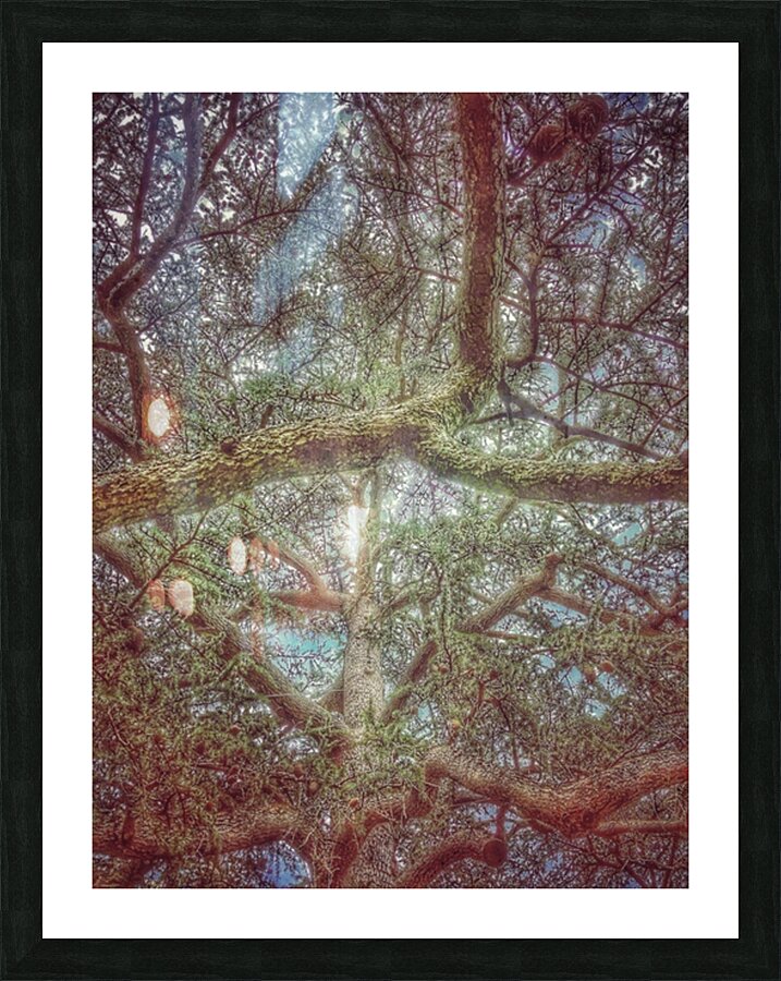 V479 Picture Frame print