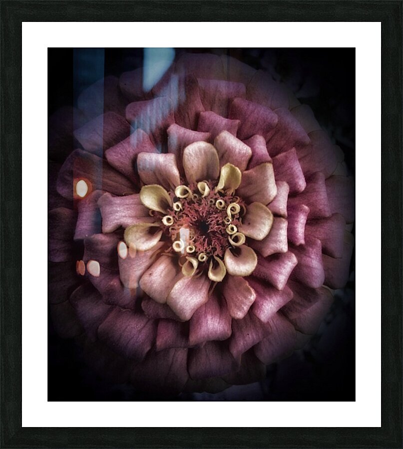 V480 Picture Frame print