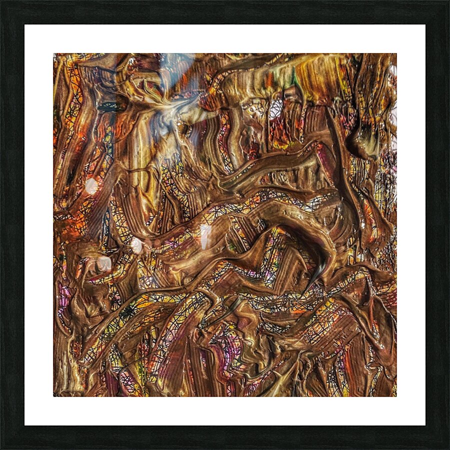 V542 Picture Frame print