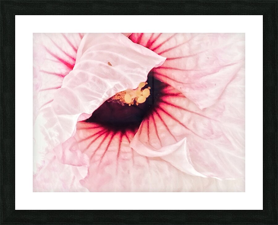 V546 Picture Frame print
