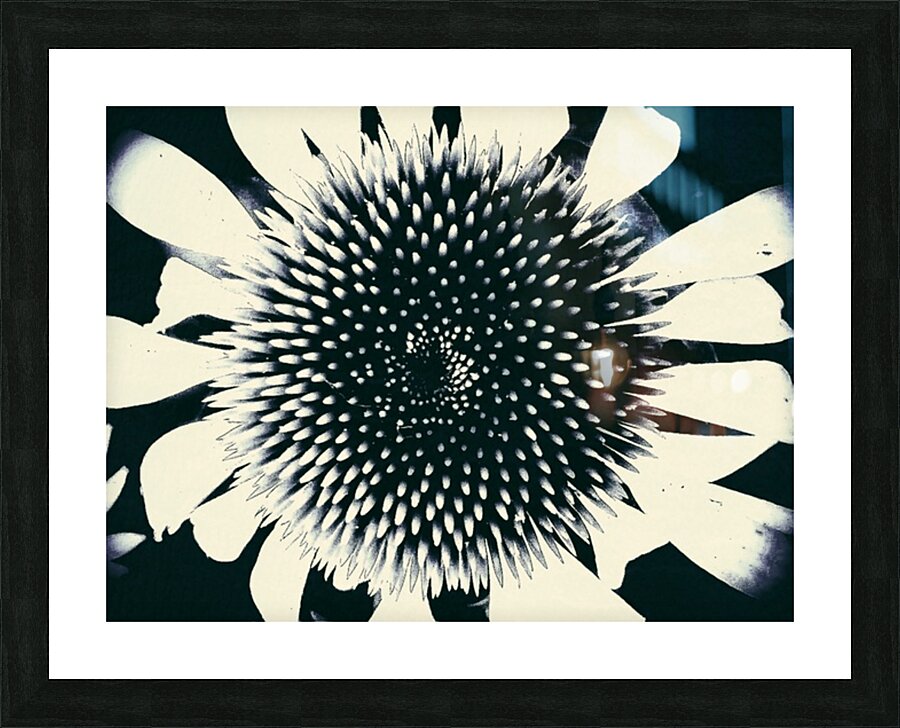V562 Picture Frame print