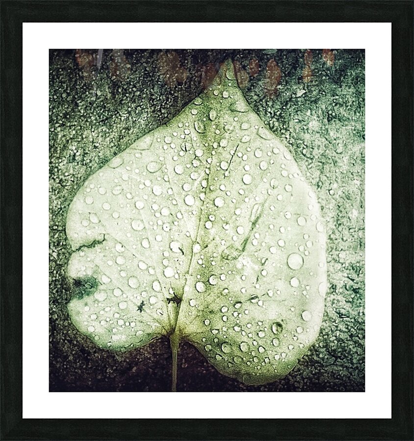 V563 Picture Frame print