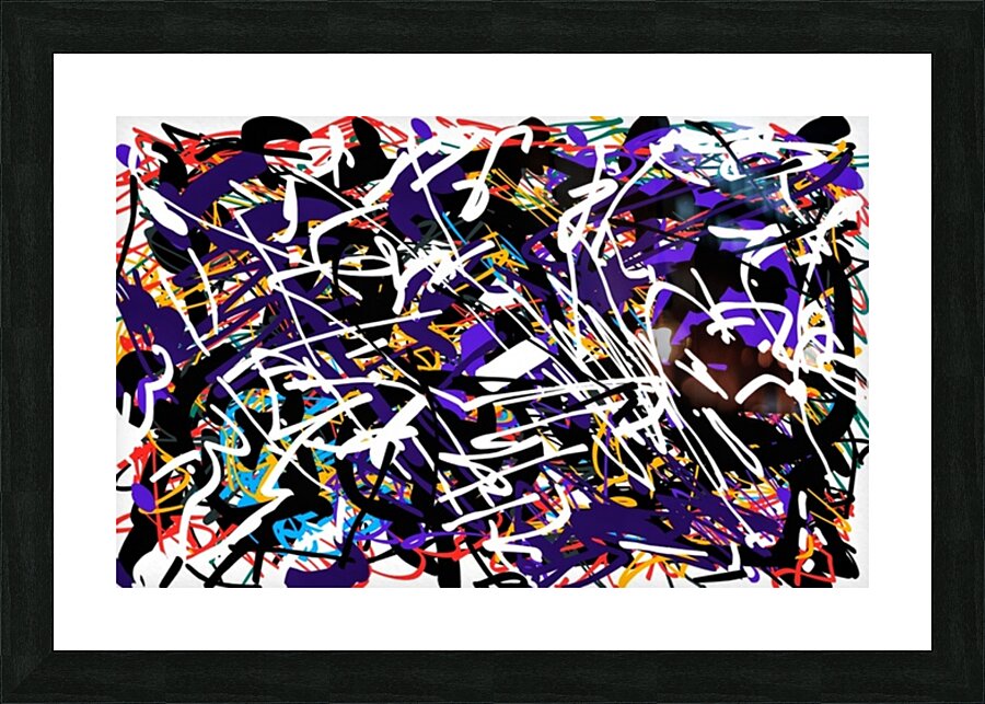 V569 Picture Frame print