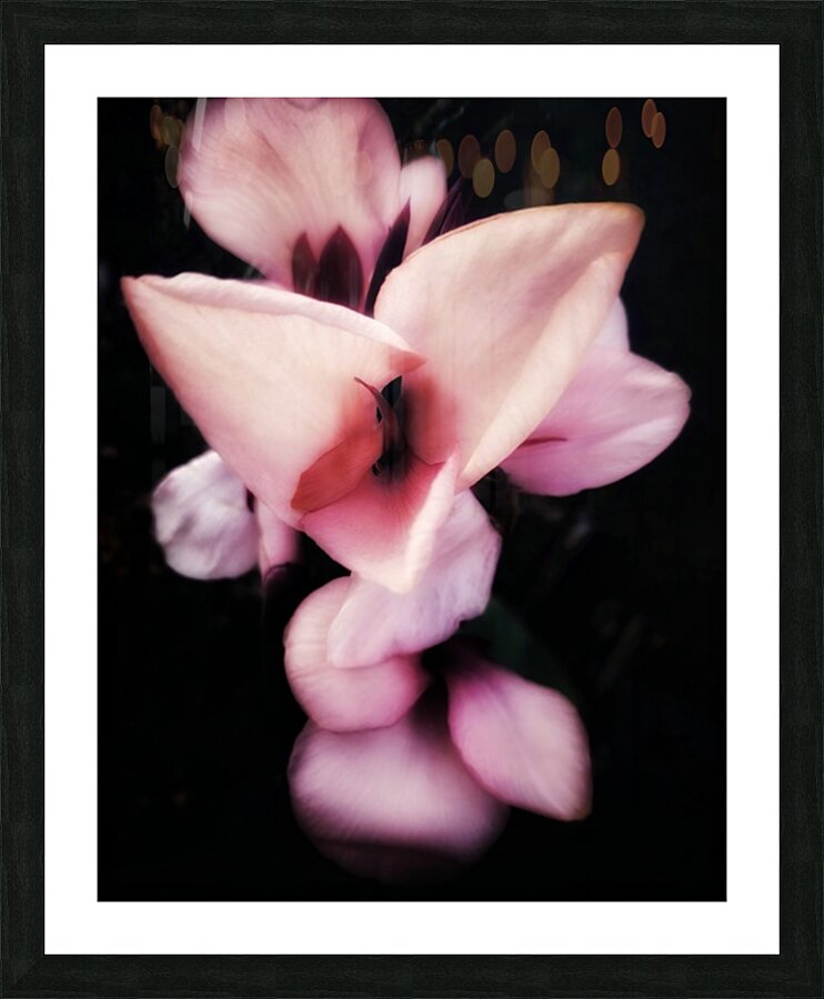 V602 Picture Frame print