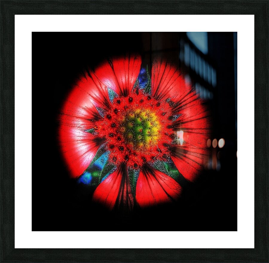 V603 Picture Frame print