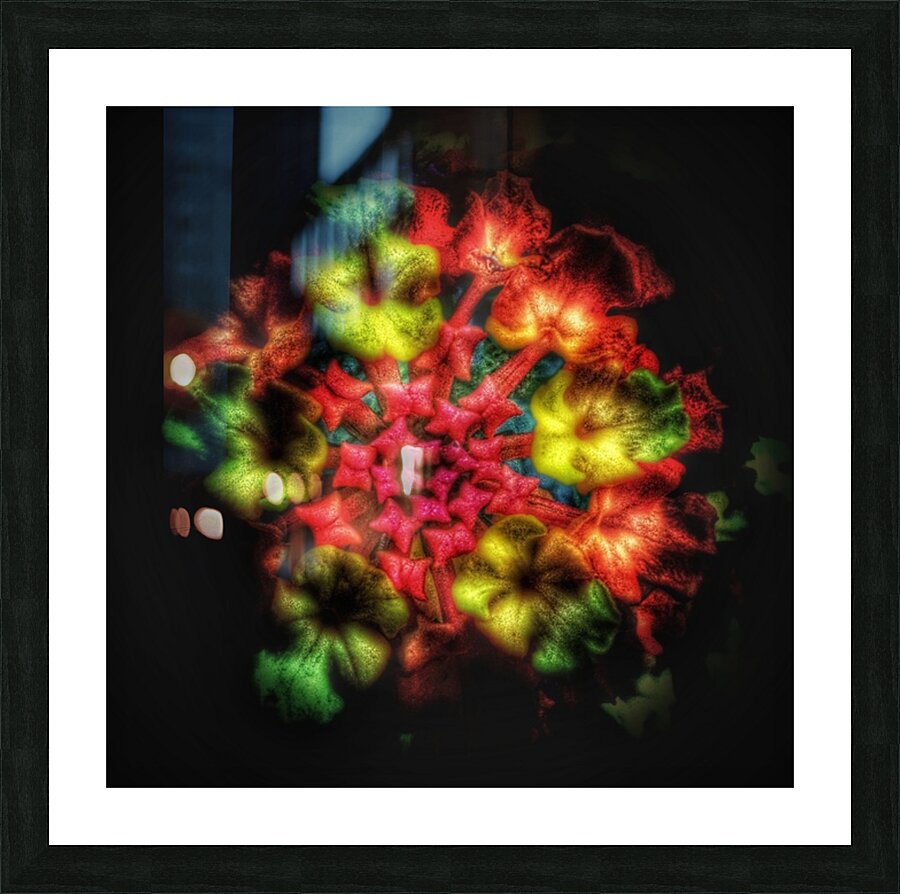 V604 Picture Frame print