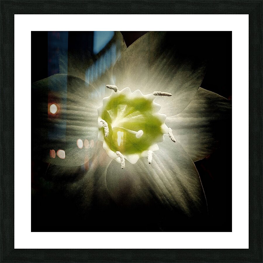 V605 Picture Frame print