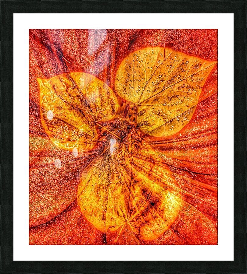 V606 Picture Frame print