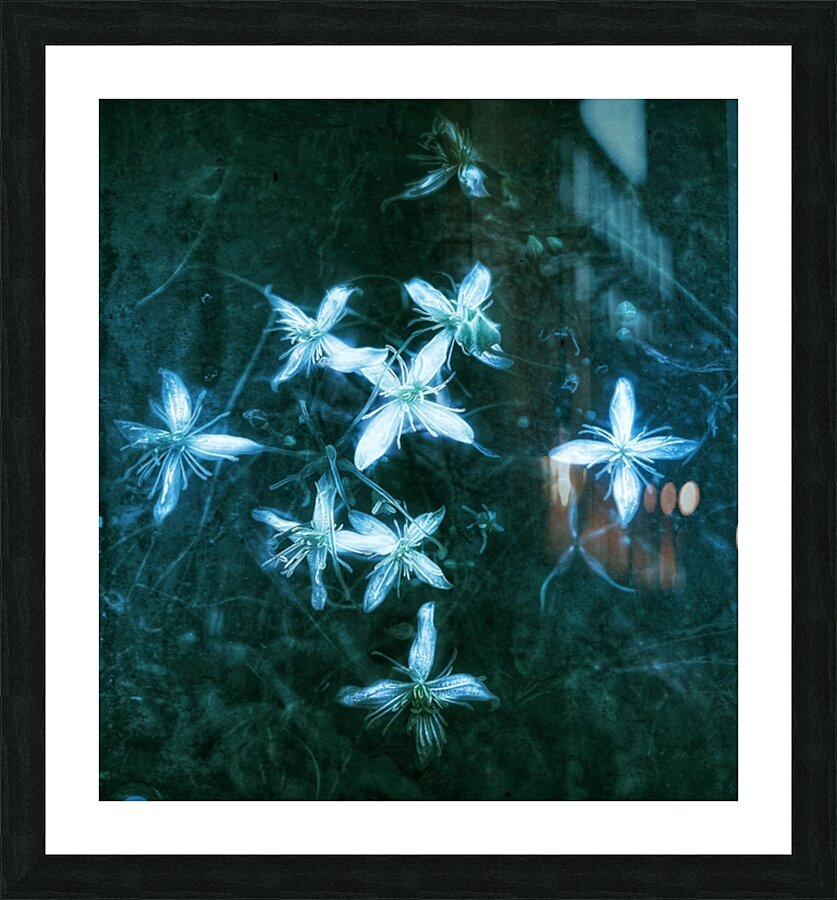 V607 Picture Frame print