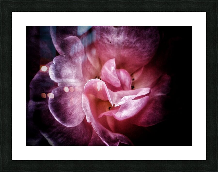 V608 Picture Frame print