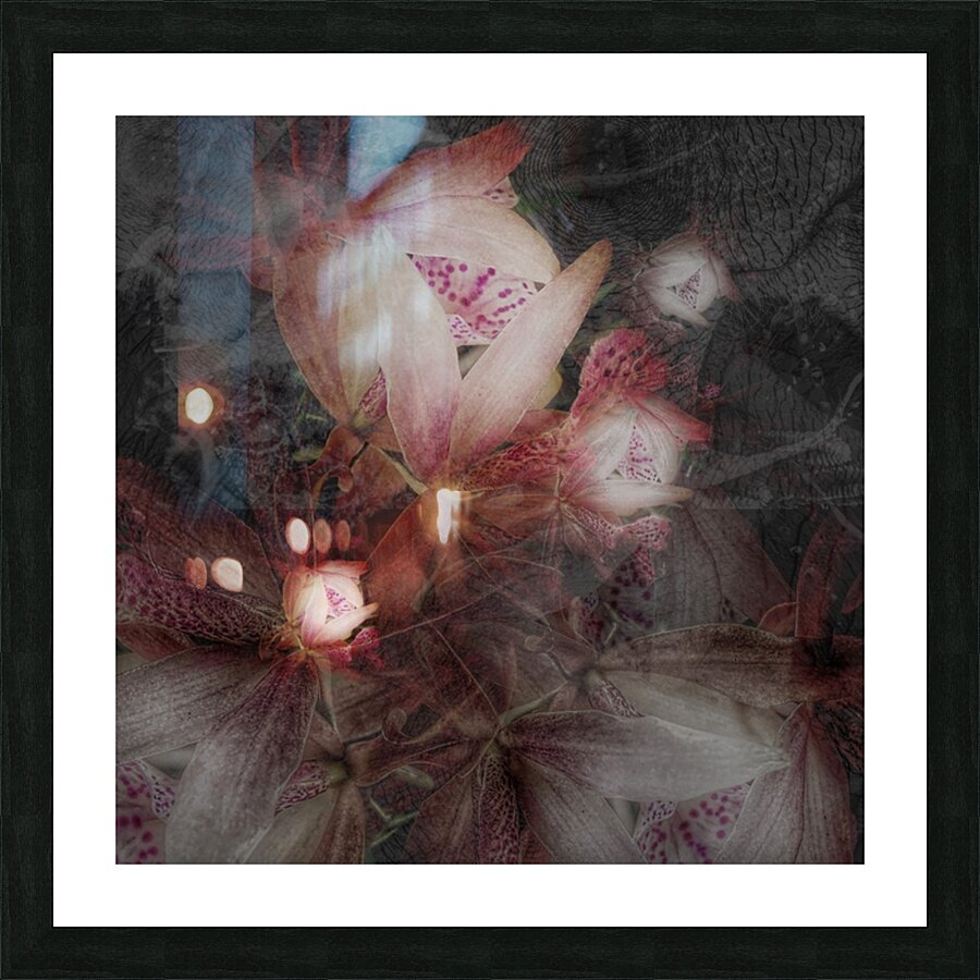 V610 Picture Frame print