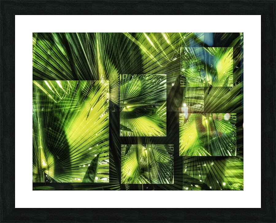V611 Picture Frame print