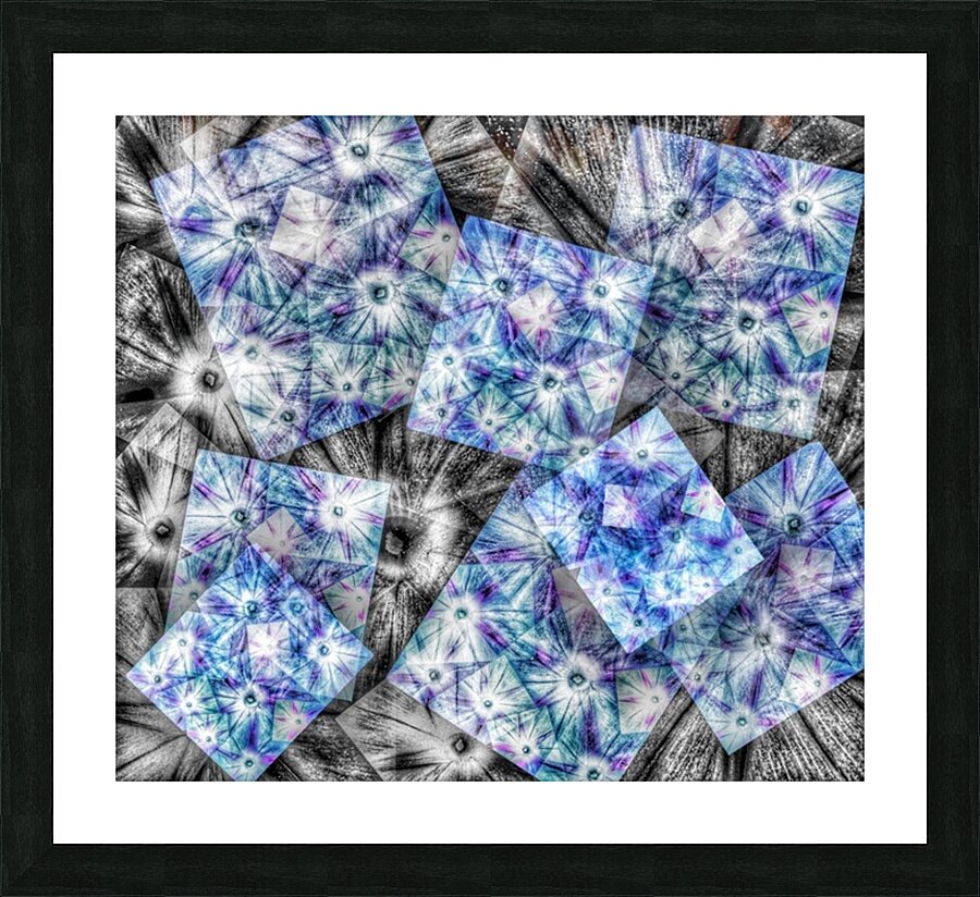 V613 Picture Frame print