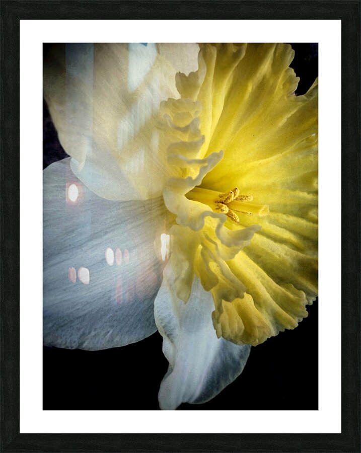 V614 Picture Frame print