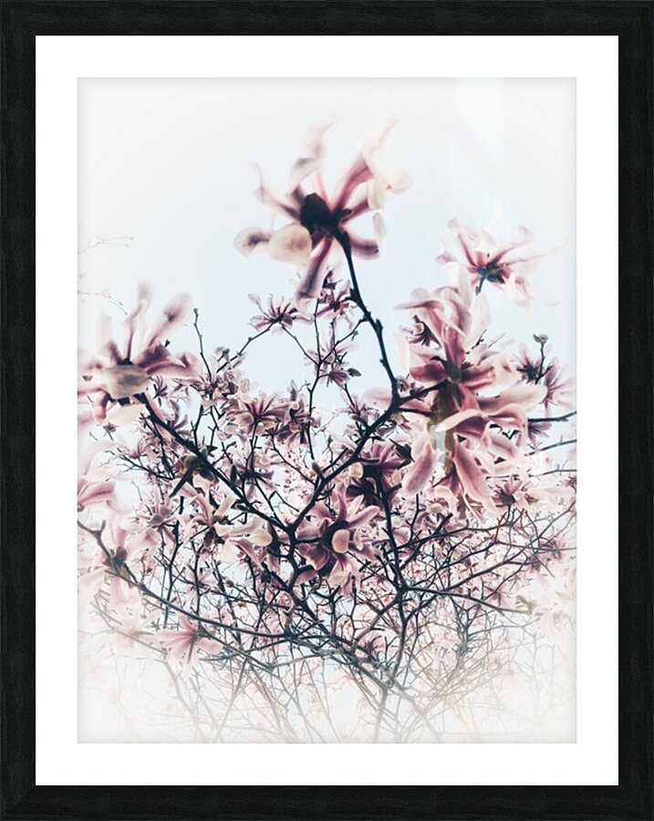 V617 Picture Frame print
