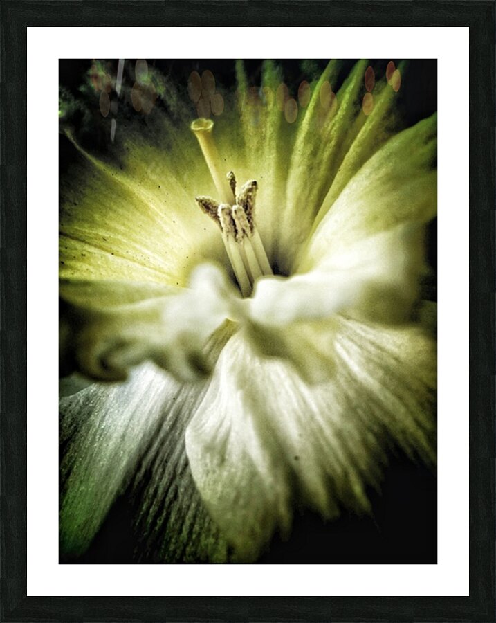 V618 Picture Frame print
