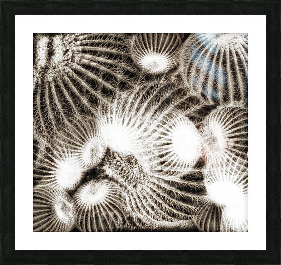 V620 Picture Frame print