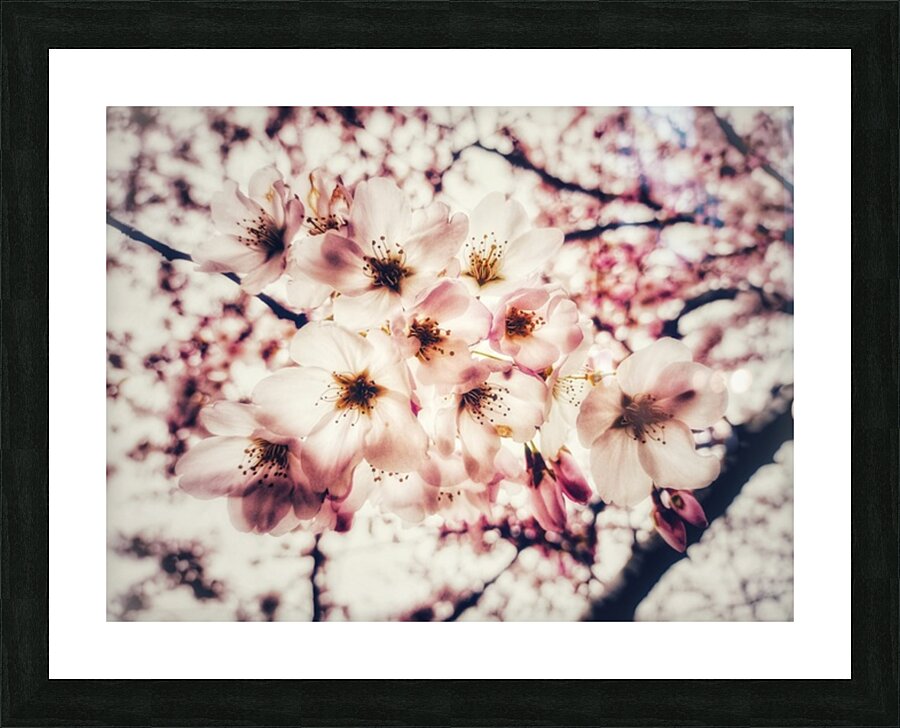 V621 Picture Frame print