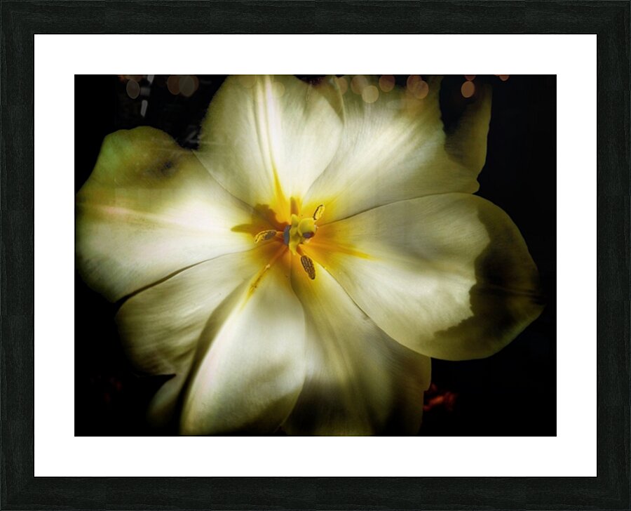 V624 Picture Frame print