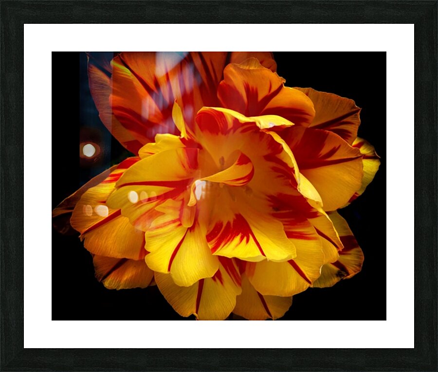 V626 Picture Frame print