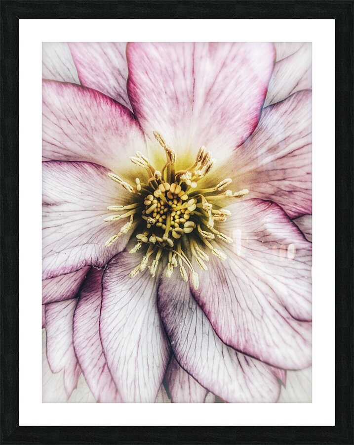 V628 Picture Frame print