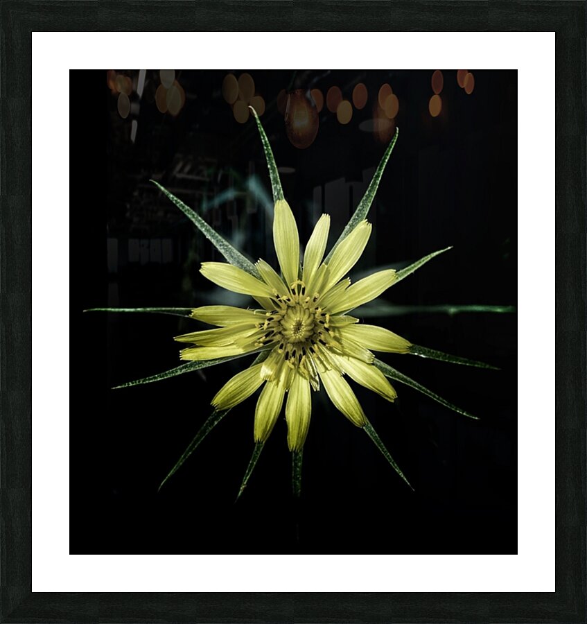 V629 Picture Frame print