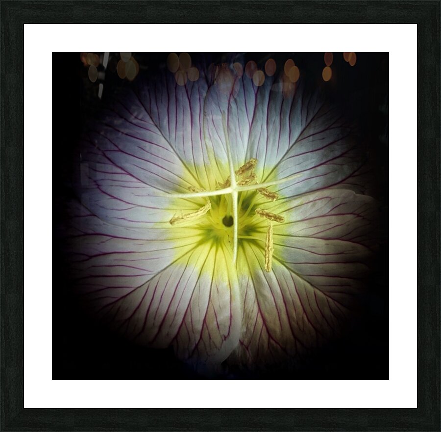 V630 Picture Frame print