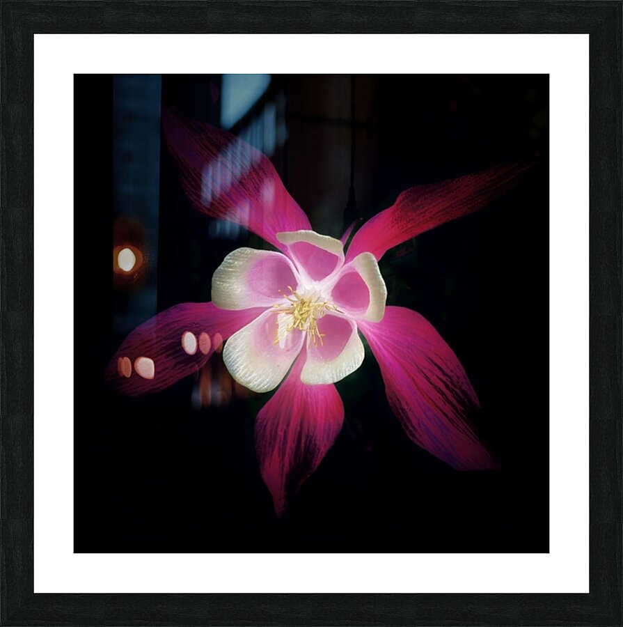 V633 Picture Frame print