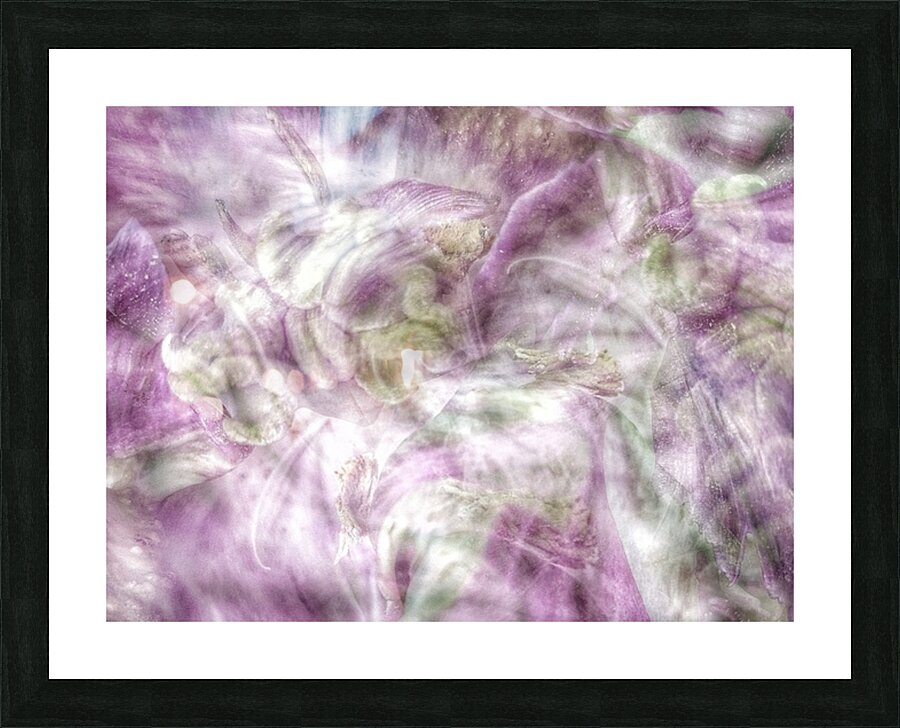 V634 Picture Frame print