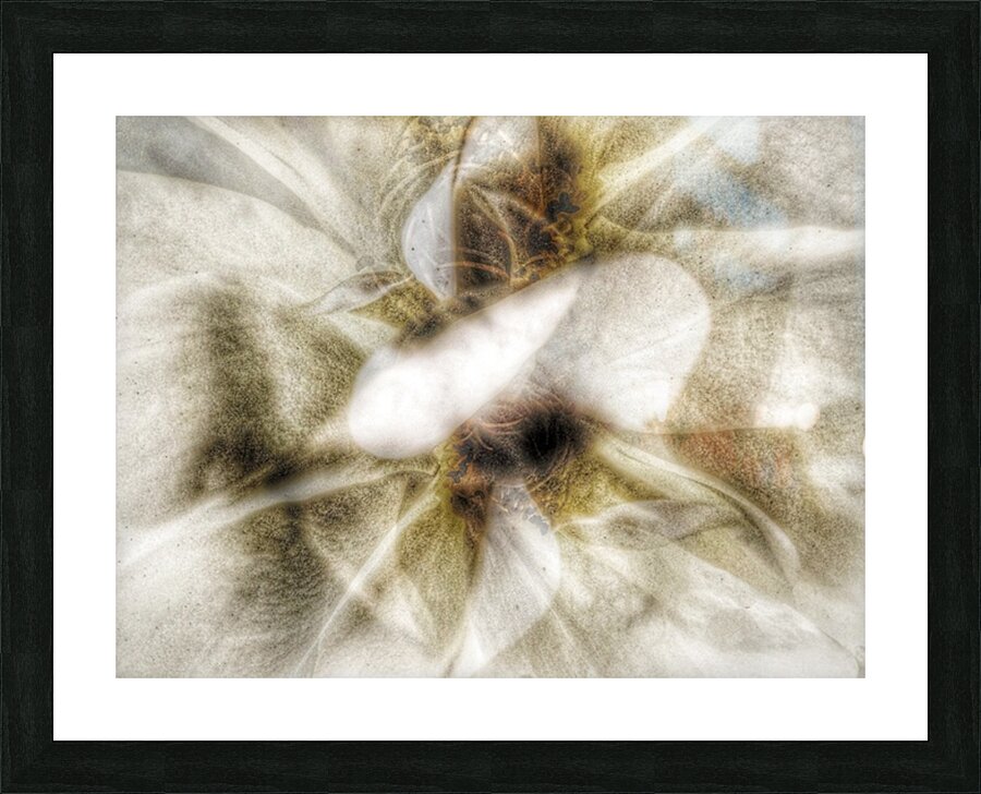 V635 Picture Frame print