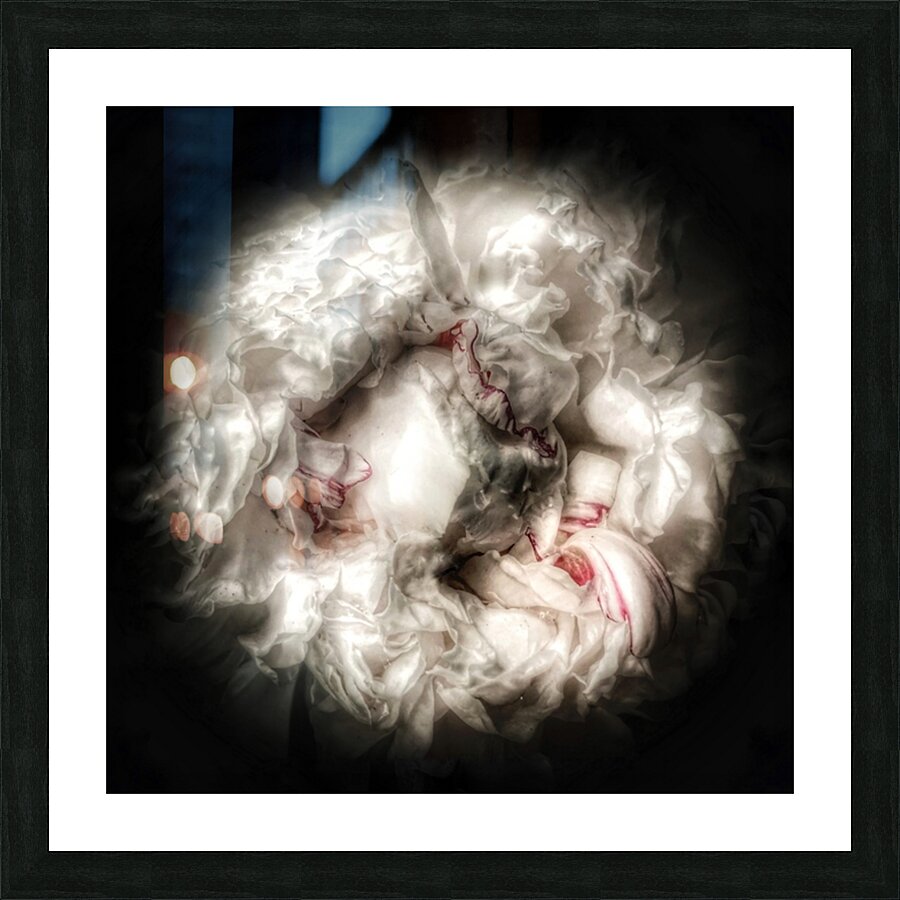 V636 Picture Frame print