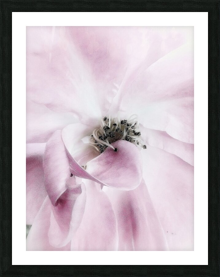 V637 Picture Frame print
