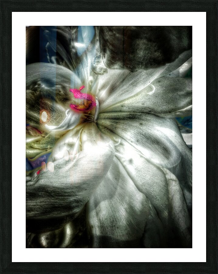 V638 Picture Frame print