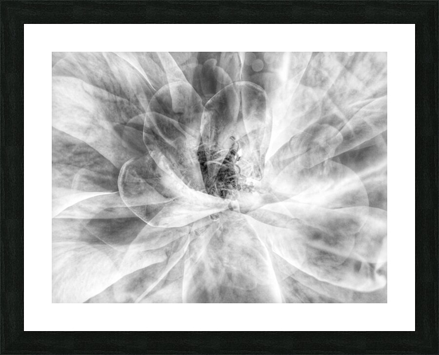 V639 Picture Frame print