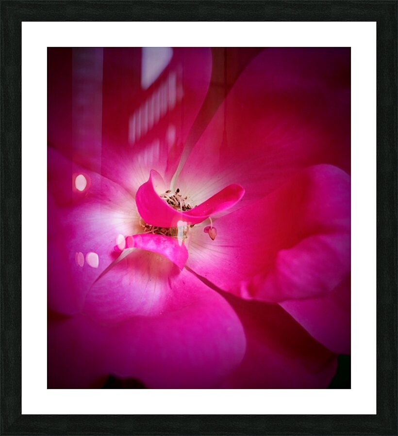 V640 Picture Frame print