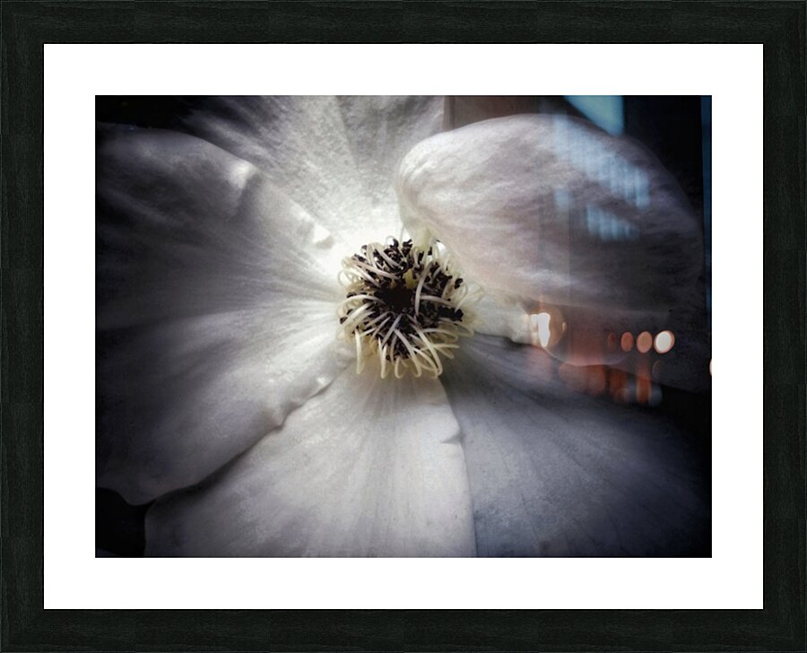 V641 Picture Frame print