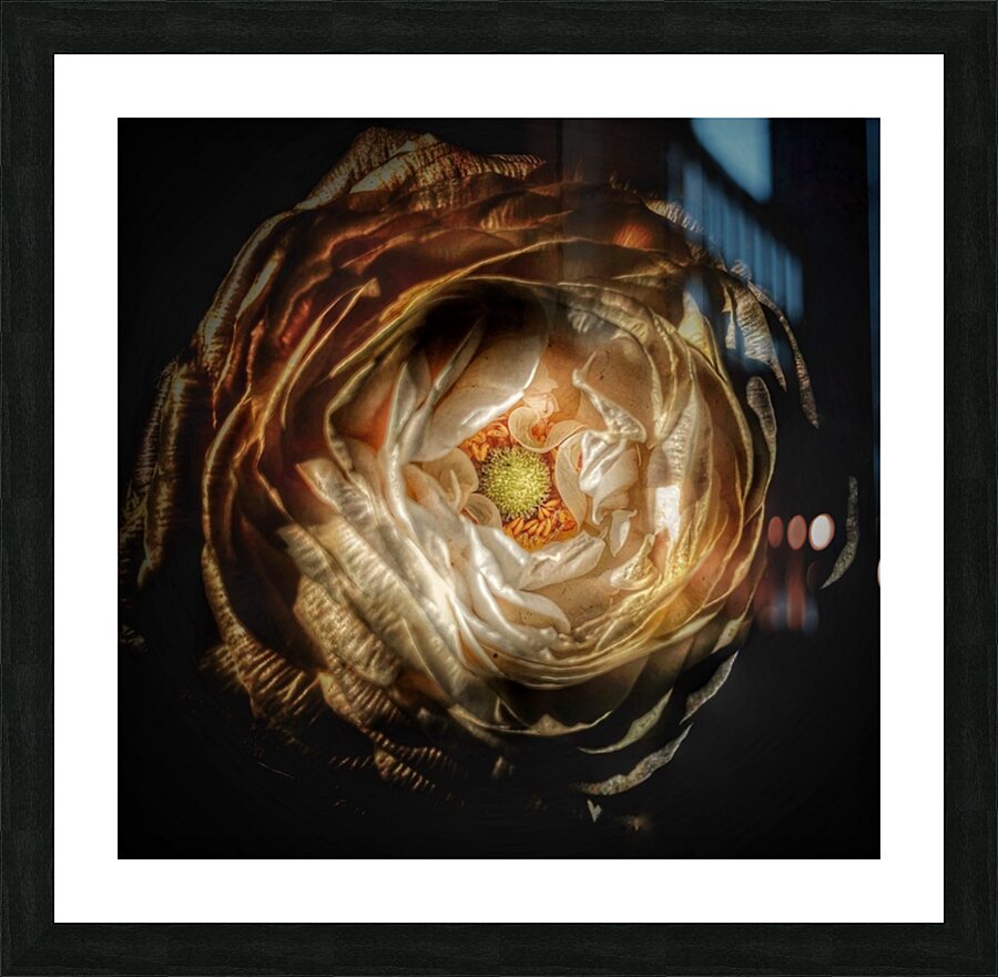 V642 Picture Frame print