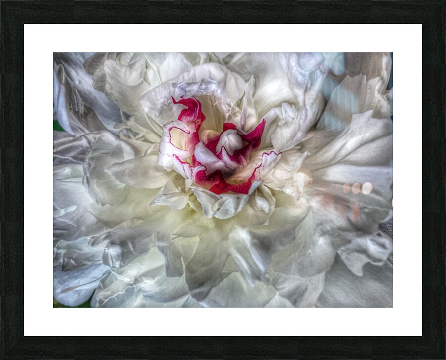 V643 Picture Frame print