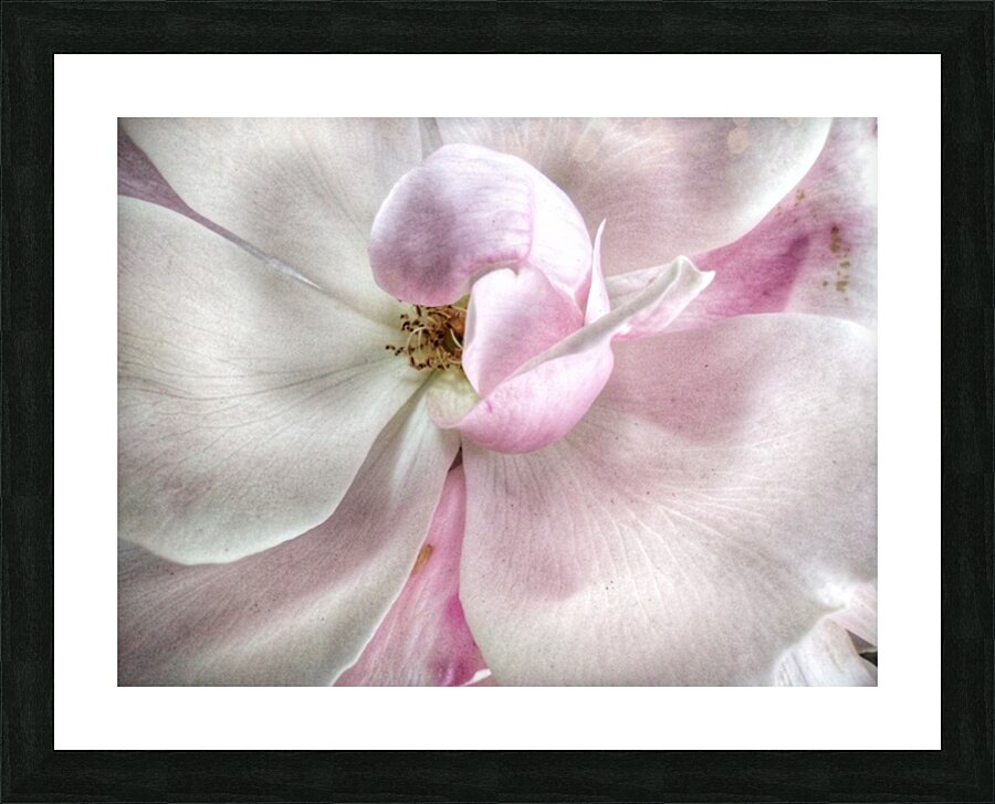V644 Picture Frame print