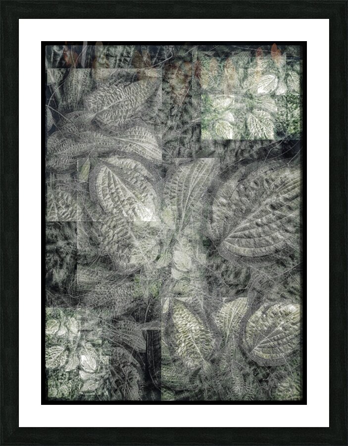 V650 Picture Frame print