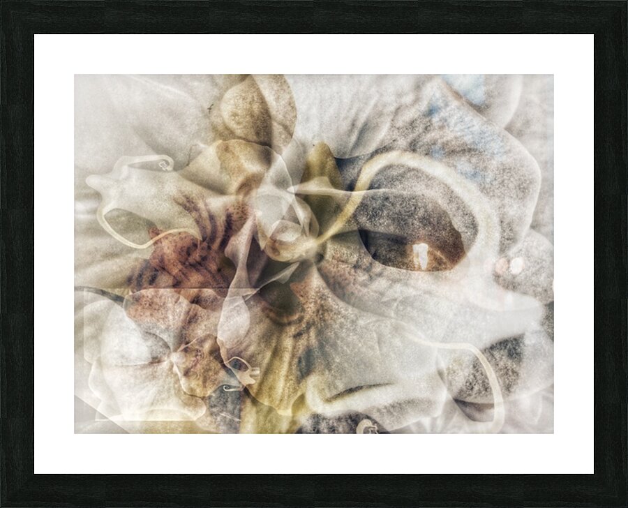 V651 Picture Frame print