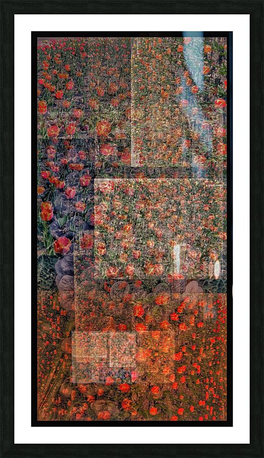 V652 Picture Frame print