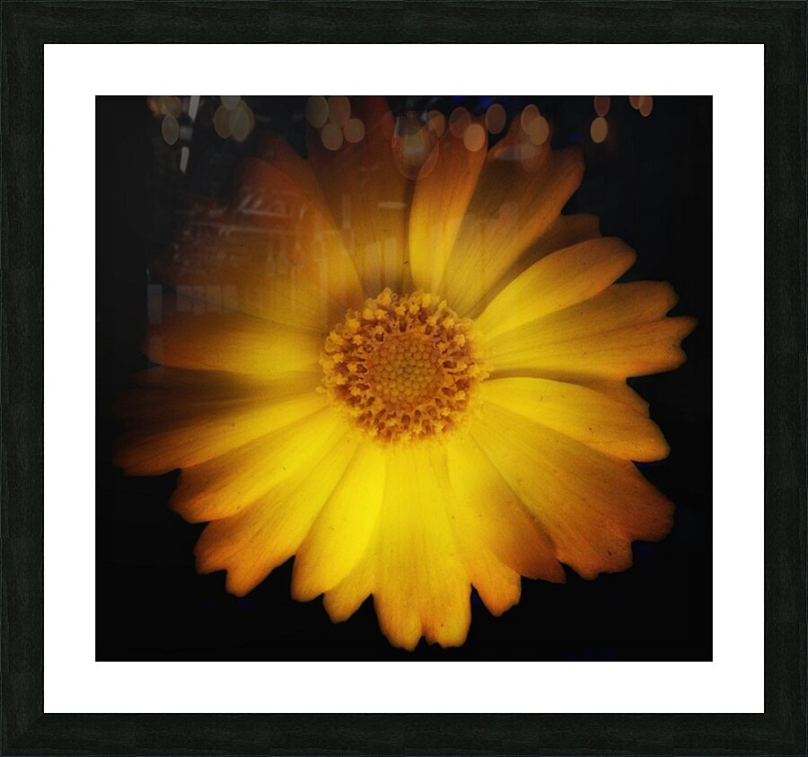 V654 Picture Frame print